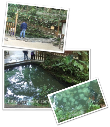 八重垣神社　鏡の池